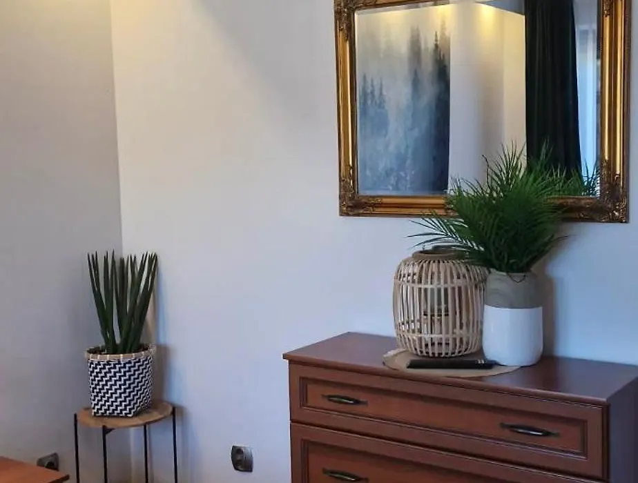 Apartament11 Brzozowa 5minut Krupówki, garaż-1